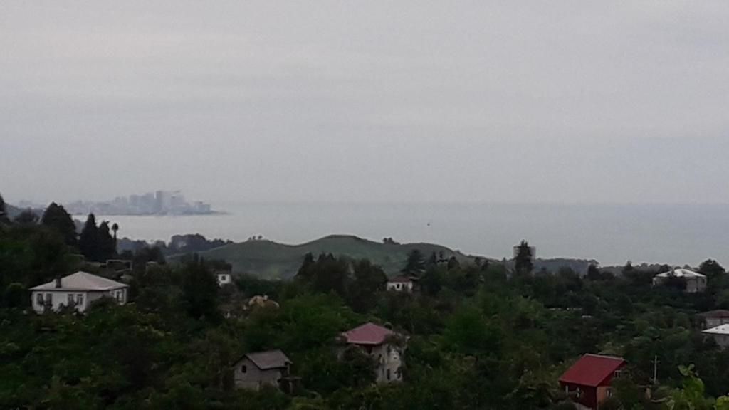 Загородные дома ДОМ ДРЕВНИДЕРЕВНЯ Кобулети-23